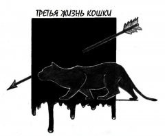Константин Бабулин - Третья жизнь кошки