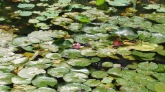 Андрей Мансуров - Восемнадцатое Царство