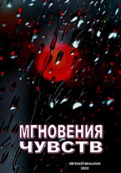 Евгений Мишкин - Мгновения чувств