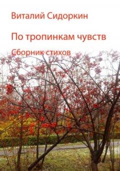 Виталий Сидоркин - По тропинкам чувств