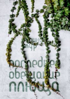 Лина Мур - Последнее обещание плюща