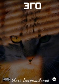 Илья Богославский - Эго