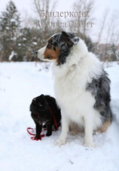 Анфиса Сабит - Бандеркони