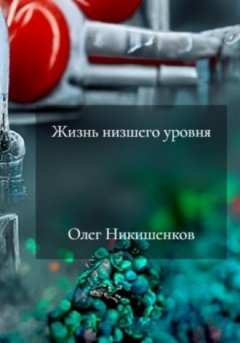 Олег Никишенков - Жизнь низшего уровня