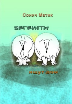 Сонич Матик - Бегемоты ищут дом