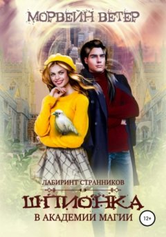Морвейн Ветер - Шпионка в академии магии