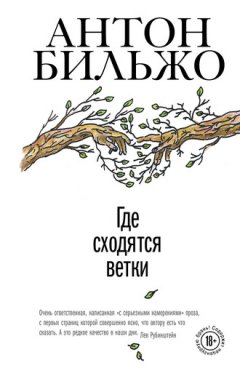 Антон Бильжо - Где сходятся ветки