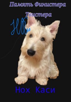 Нох Каси - Память Финистера Твистера