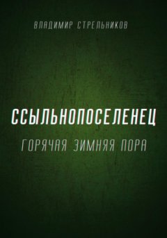 Владимир Стрельников - Ссыльнопоселенец. Горячая зимняя пора