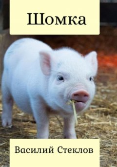 Василий Стеклов - Шомка