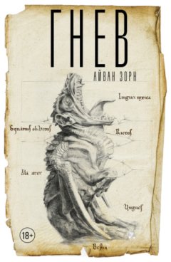 Айван Зорн - Гнев