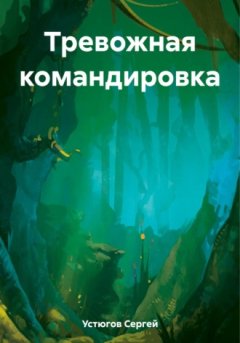 Сергей Устюгов - Тревожная командировка